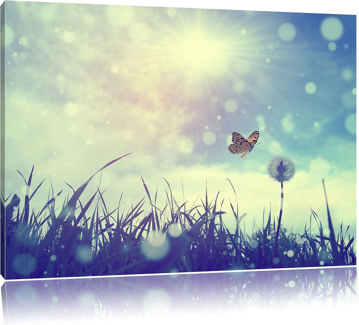 Pixxprint zarter Schmetterling fliegt zu Pusteblume, Format: 100x70 auf Leinwand, 100x70