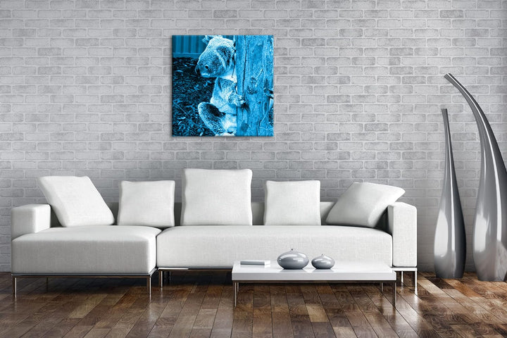 deyoli niedlicher Koala in Australien Format: 70x70 Effekt: Monocrome Blau als Leinwandbild, Motiv f