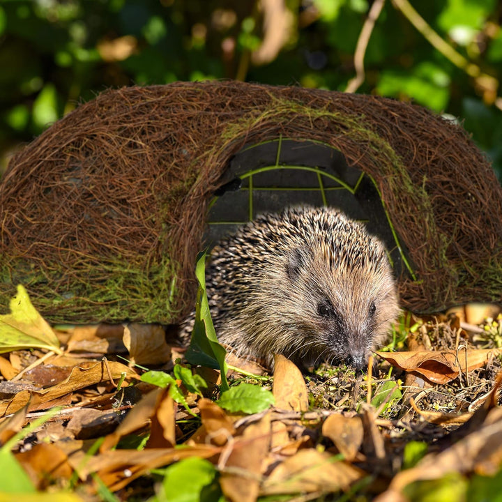 Relaxdays Igelhaus, Iglu, Winterquartier für Garten, wetterfeste Igelkuppel aus Rattan HxBxT 20 x 52