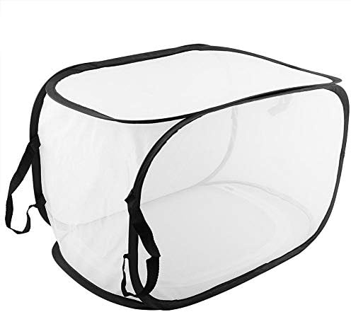 Insekten-Lebensraumkäfig Grosser Tragbarer Faltbarer, Haltbarer Mottenschmetterling Belüftete Tierzu