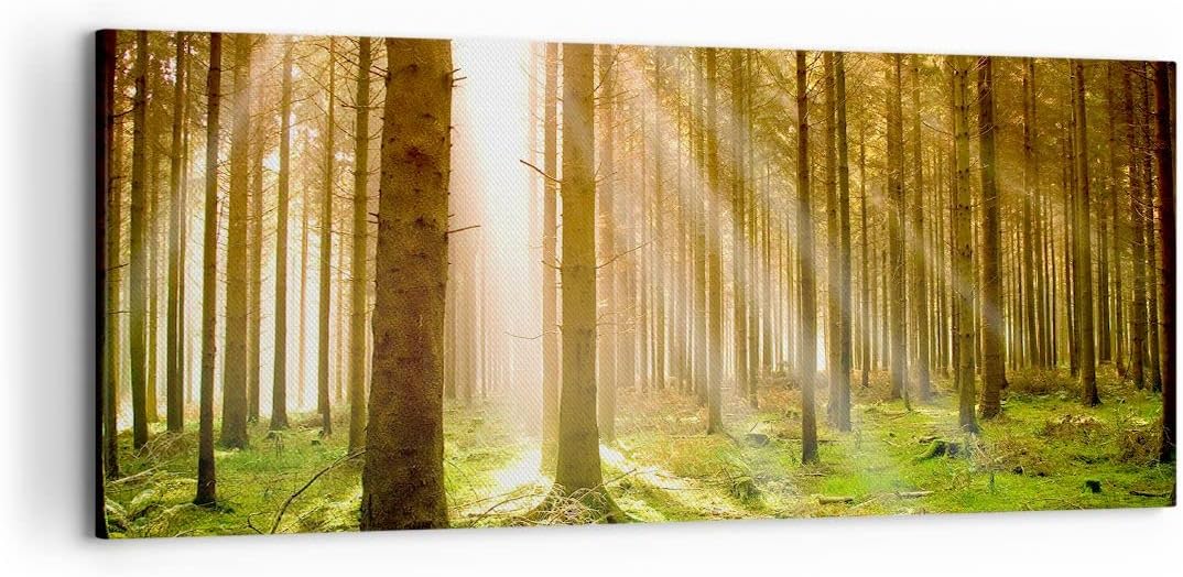 Wandbilder Dekoration Wohnzimmer Bäume Sonne Natur Panorama Bilder auf Leinwand 120x50cm Leinwandbil