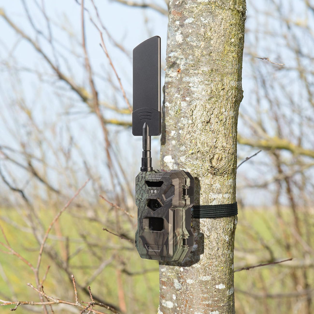 VisorTech Wildkamera mit Simkarte: 4G/LTE-Wildkamera mit 2K-Auflösung, 30 MP, PIR-Sensor, No-Glow-IR