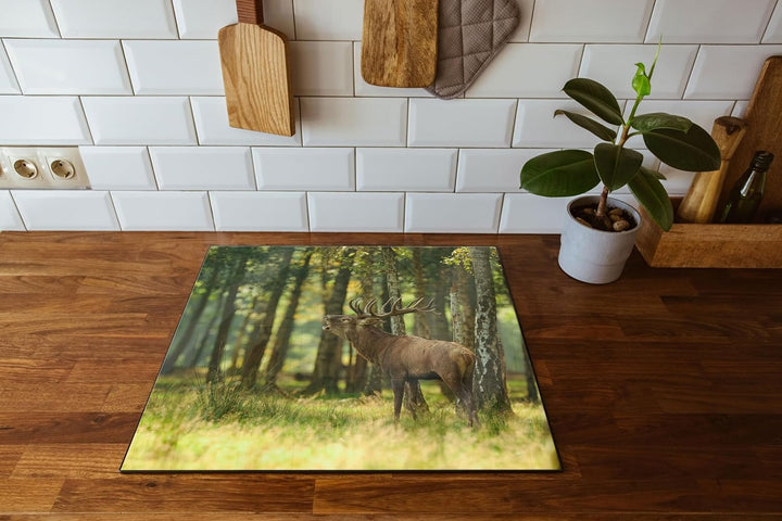 Hirsch im Wald Herdabdeckplatte & Spritzschutz aus Echtglas | Für Herd-Kochfelder | 60x52 cm