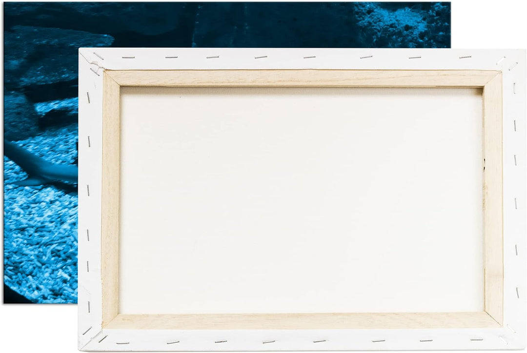 deyoli Weissspitzen Hai Format 80x60 Effekt: Monocrome Blau als Leinwandbild, Motiv fertig gerahmt a