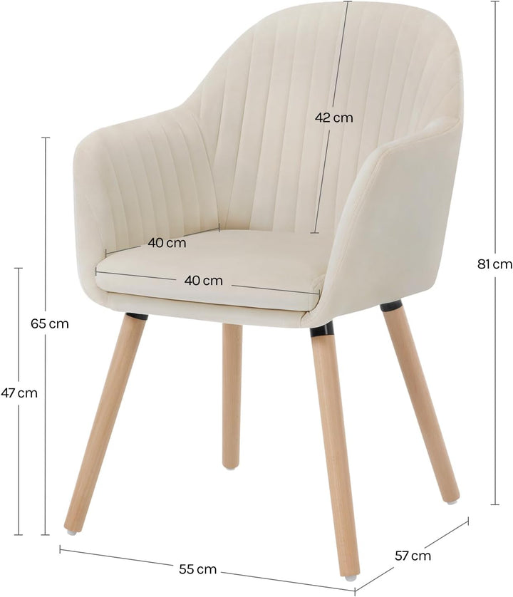 WOLTU Esszimmerstühle BH95cm-2 2er Set Küchenstuhl Wohnzimmerstuhl Polsterstuhl Design Stuhl mit Arm