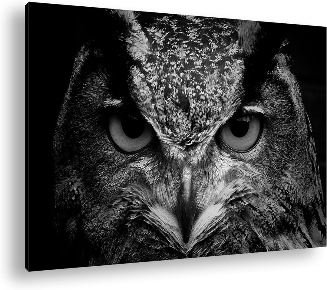 deyoli lauernde Augen einer Eule Format:75x50 cm Effekt: Schwarz/Weiss als Leinwandbild, Motiv ferti