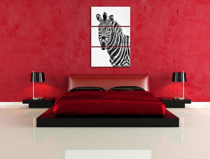 Pixxprint Zebra im Portrait als Leinwandbild/Grösse: 3 Teilig (120x80) cm/Wandbild/Kunstdruck/fertig
