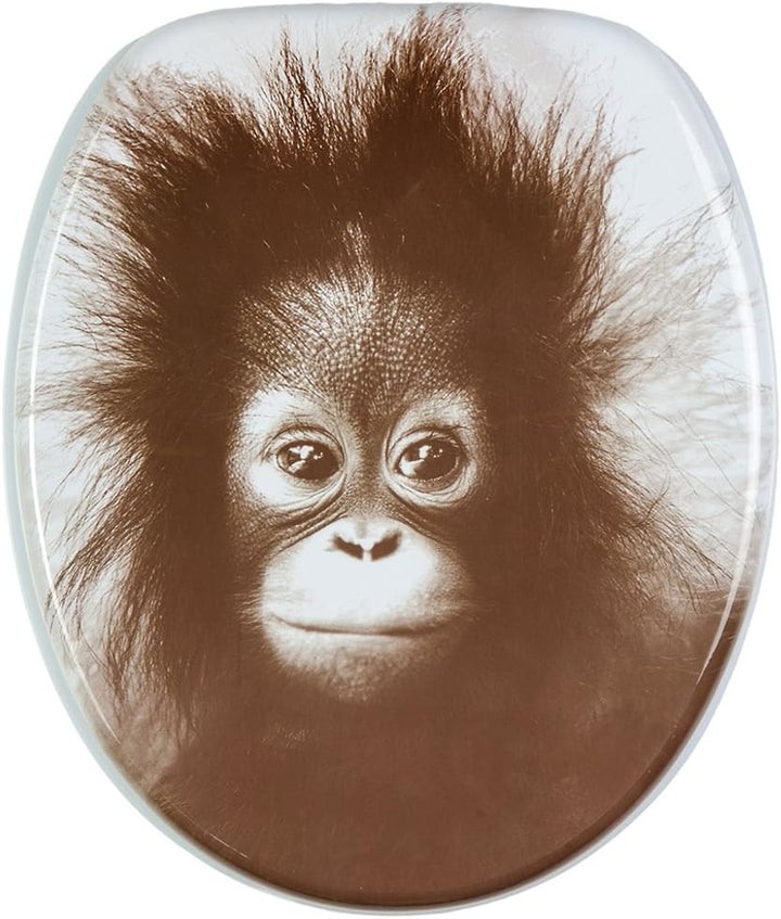 Sanilo WC Sitz ohne Absenkautomatik, viele neue Toilettendeckel zur Auswahl, hochwertige Oberfläche,