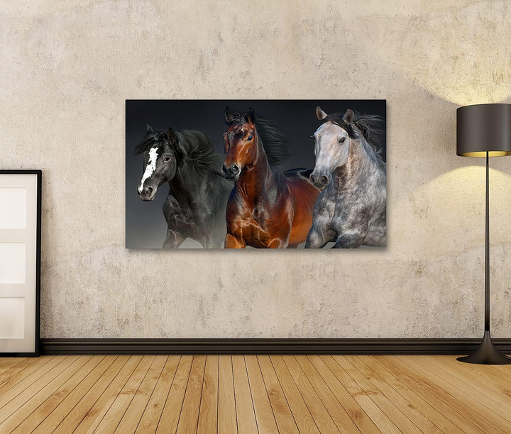 islandburner Bild auf Leinwand Drei Pferde Porträt Für Kinderzimmer Pop Bilder Wandbilder Poster Lei