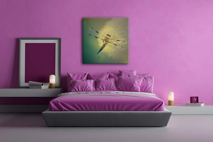 deyoli stolze Libelle Format: 70x70 als Leinwand, Motiv fertig gerahmt auf Echtholzrahmen, Hochwerti