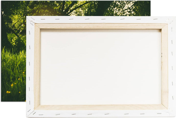 deyoli zauberhafte Butterblumen auf einer Wiese Format: 80x60 als Leinwand, Motiv fertig gerahmt auf