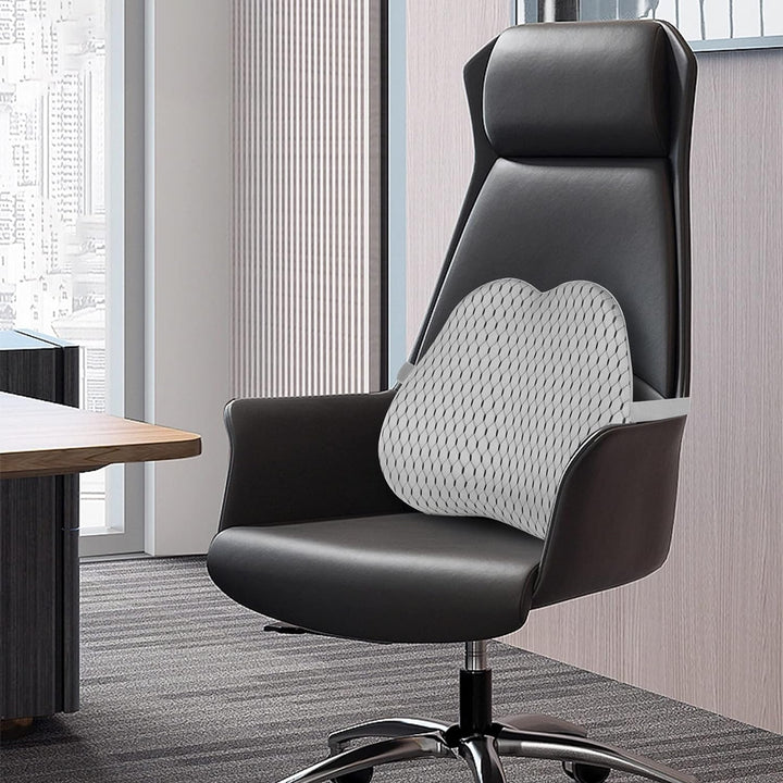 Livtribe Rückenkissen,Memory Foam Lendenkissen Auto,Ergonomisches Lendenwirbelstützkissen für Bürost