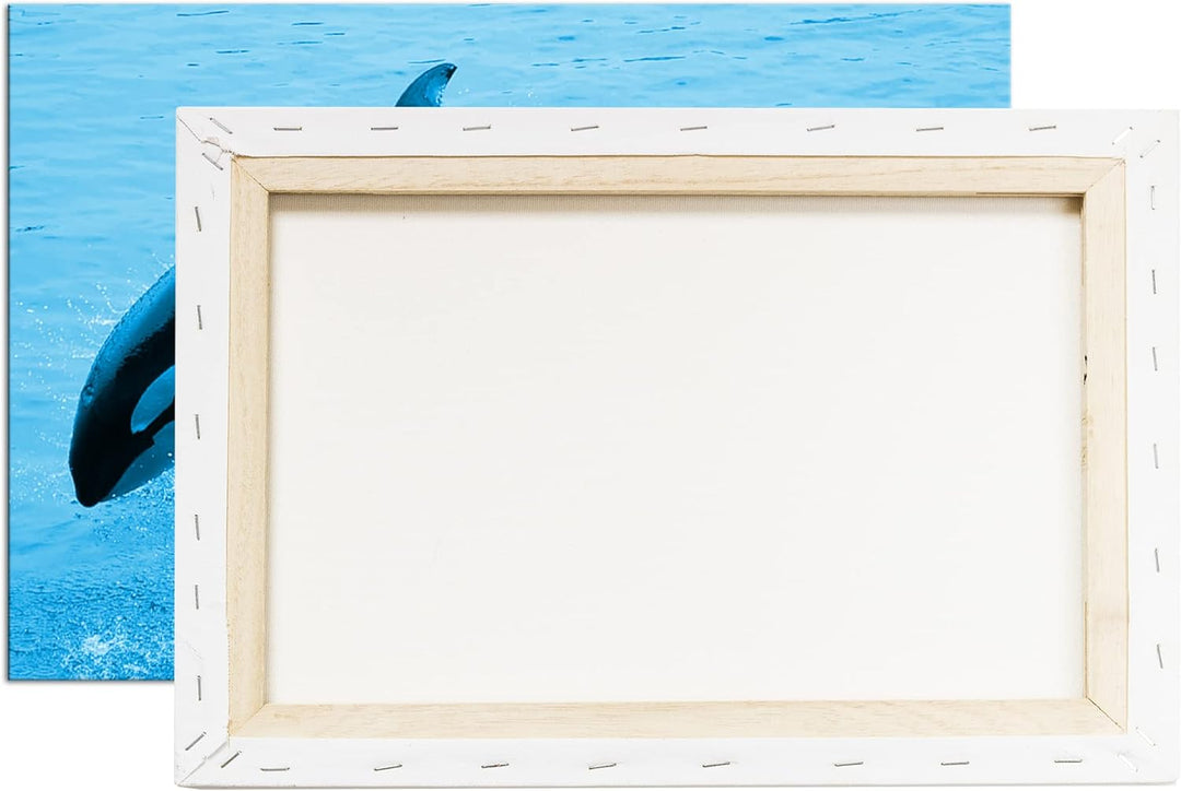 deyoli verspielter Orca Format 100x70 Effekt: Monocrome Blau als Leinwandbild, Motiv fertig gerahmt