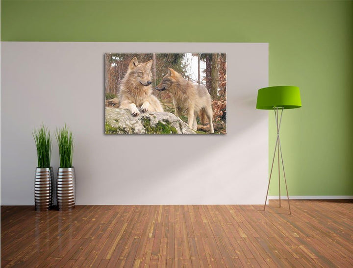 Pixxprint Wölfe im Wald / 100x70cm Leinwandbild bespannt auf Holzrahmen/Wandbild Kunstdruck Dekorati