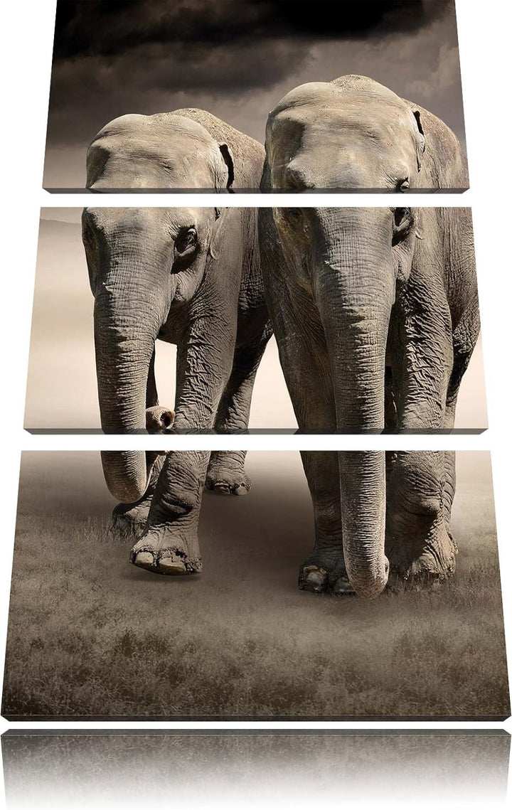 Pixxprint Zwei Elefanten in Steppe als Leinwandbild/Grösse: 3 Teilig (120x80) cm/Wandbild/Kunstdruck
