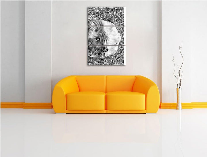 Pixxprint Zwei Knoblauchknollen als Leinwandbild/Grösse: 3 Teilig (120x80) cm/Wandbild/Kunstdruck/fe