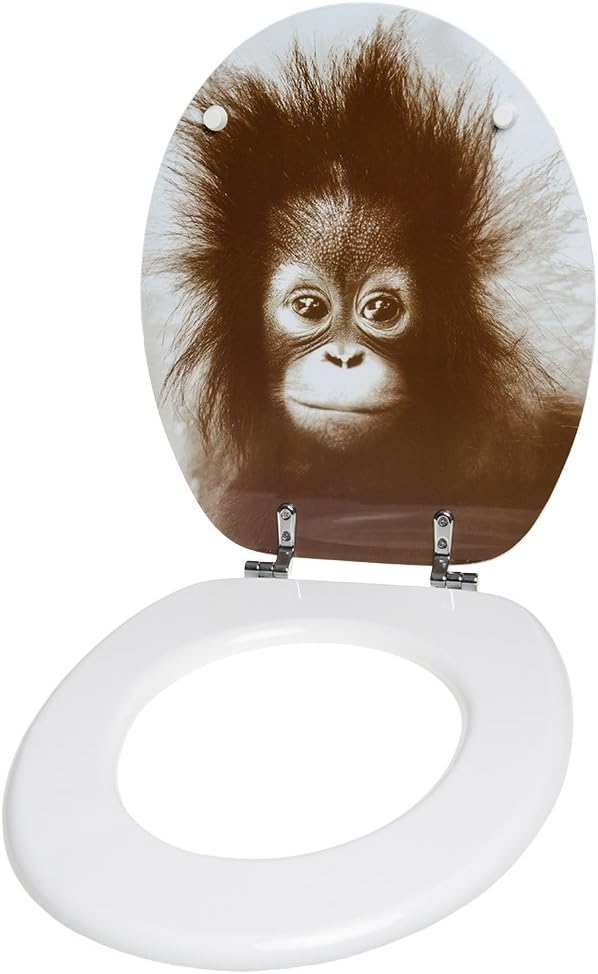 Sanilo WC Sitz ohne Absenkautomatik, viele neue Toilettendeckel zur Auswahl, hochwertige Oberfläche,