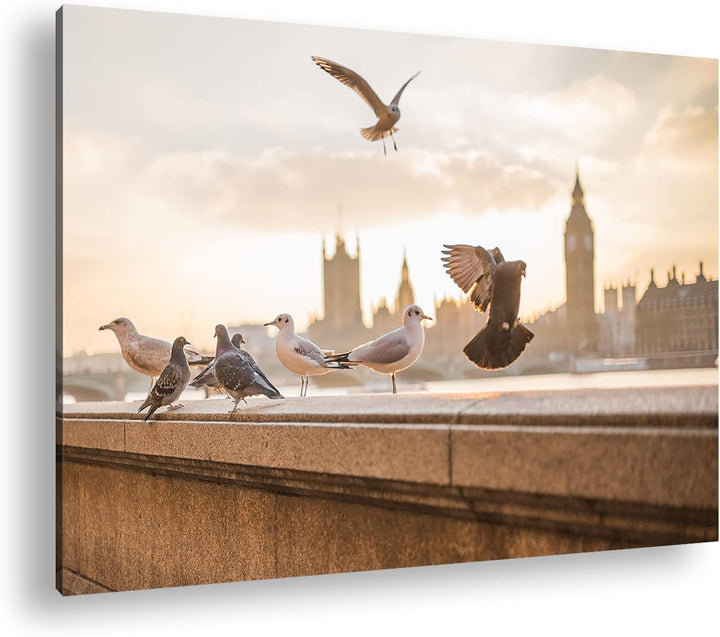 deyoli Tauben in London Format: 100x70 cm als Leinwandbild, Motiv fertig gerahmt auf Echtholzrahmen,