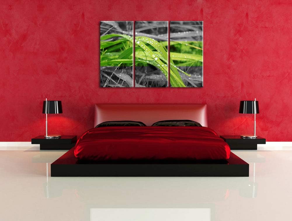 Grashalme im Morgentau schwarz/weiss 3-Teiler Leinwandbild 120x80 Bild auf Leinwand, XXL riesige Bil
