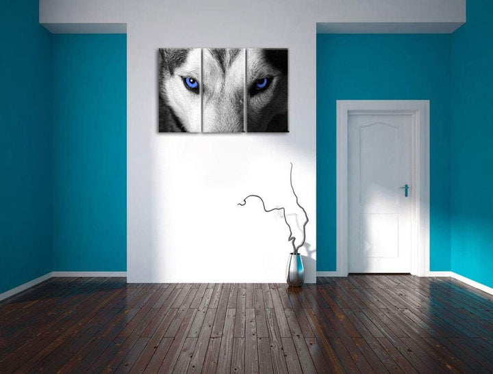 Gefährlicher Husky mit eisblauen Augen schwarz/weiss 3-Teiler Leinwandbild 120x80 Bild auf Leinwand,