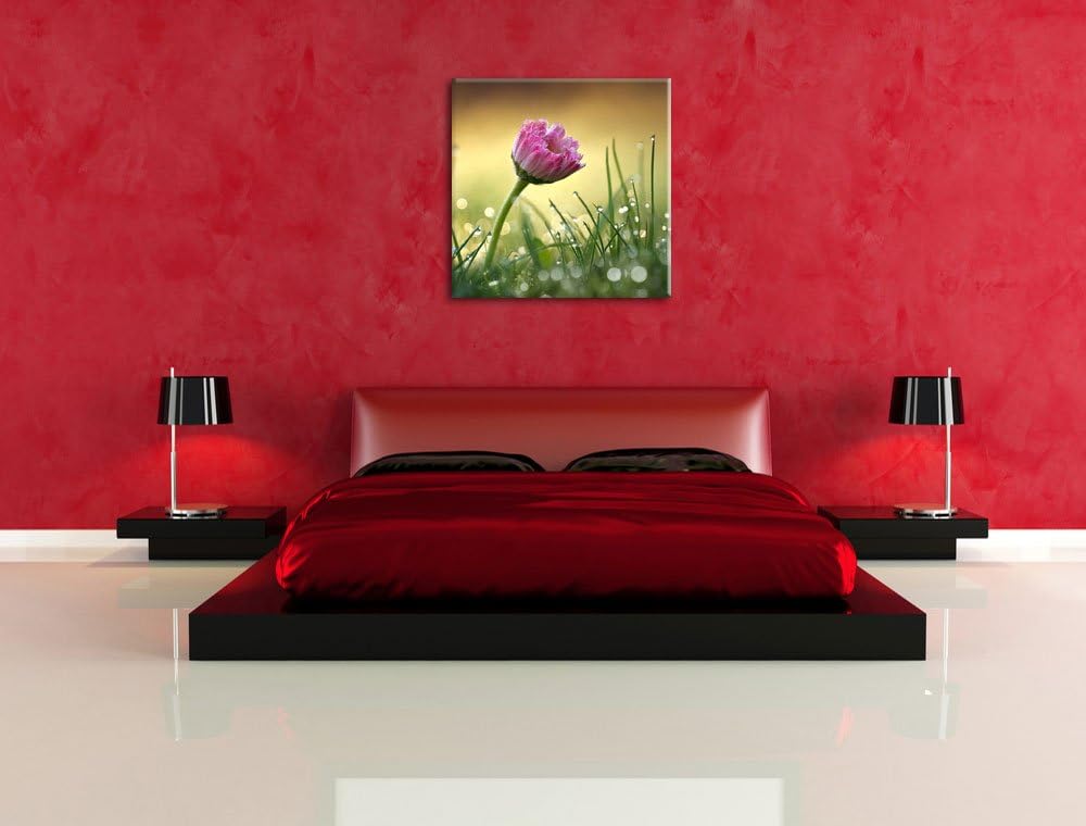 rosa Gänseblümchen im Gras, Format: 70x70 auf Leinwand, XXL riesige Bilder fertig gerahmt mit Keilra