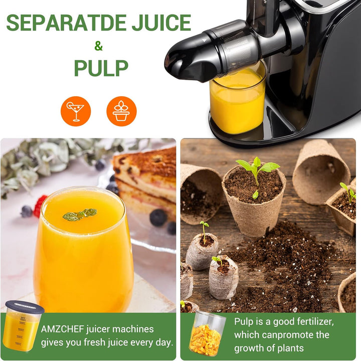 AMZCHEF Entsafter Slow Juicer leistungsstarker Entsafter für Obst und Gemüse mit 2 Geschwindigkeitsm