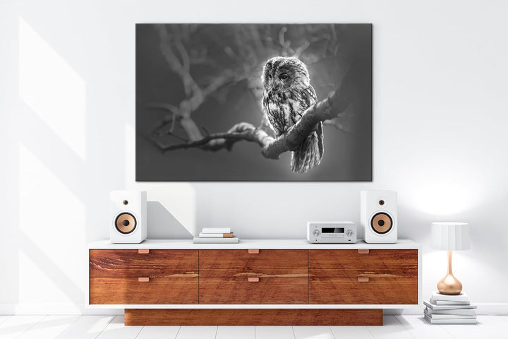 deyoli Lauernde Eule Format: 120x80 Effekt: Schwarz&Weiss als Leinwand, Motiv fertig gerahmt auf Ech