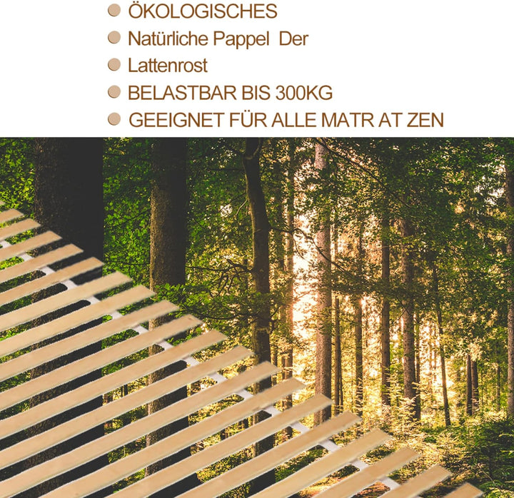 Ansobea 2 Stück Rolllattenrost Lattenrost 90x200cm Federleisten bettgestell Hochwertiger Pappelholz