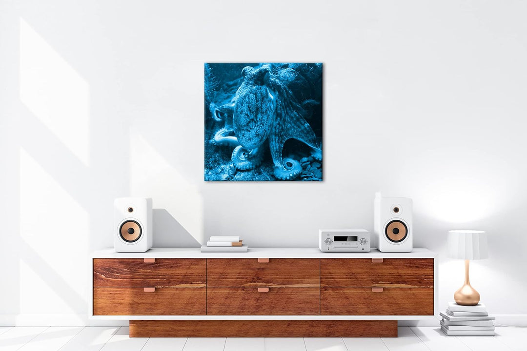 deyoli Oktopus am Korallenriff Format: 70x70 Effekt: Monocrome Blau als Leinwandbild, Motiv fertig g