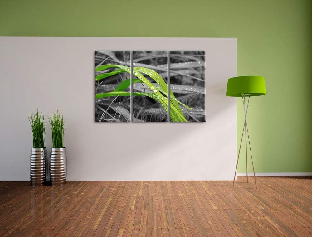 Grashalme im Morgentau schwarz/weiss 3-Teiler Leinwandbild 120x80 Bild auf Leinwand, XXL riesige Bil