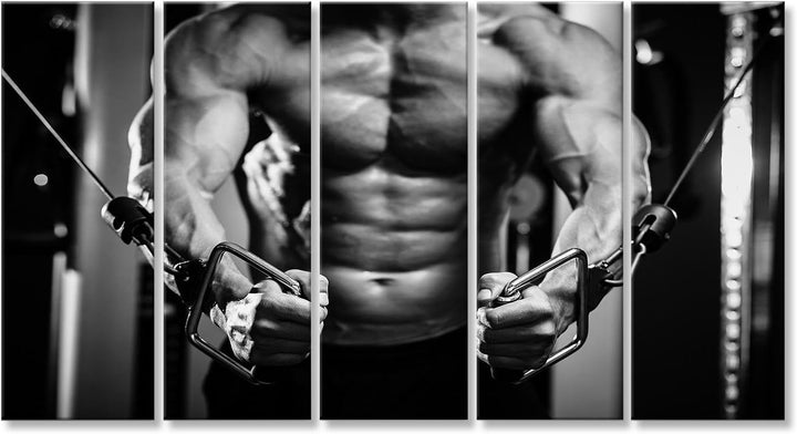 islandburner Bild auf Leinwand Bodybuilder In Fitness Studio Pumpen Bilder Wandbilder Poster Leinwan