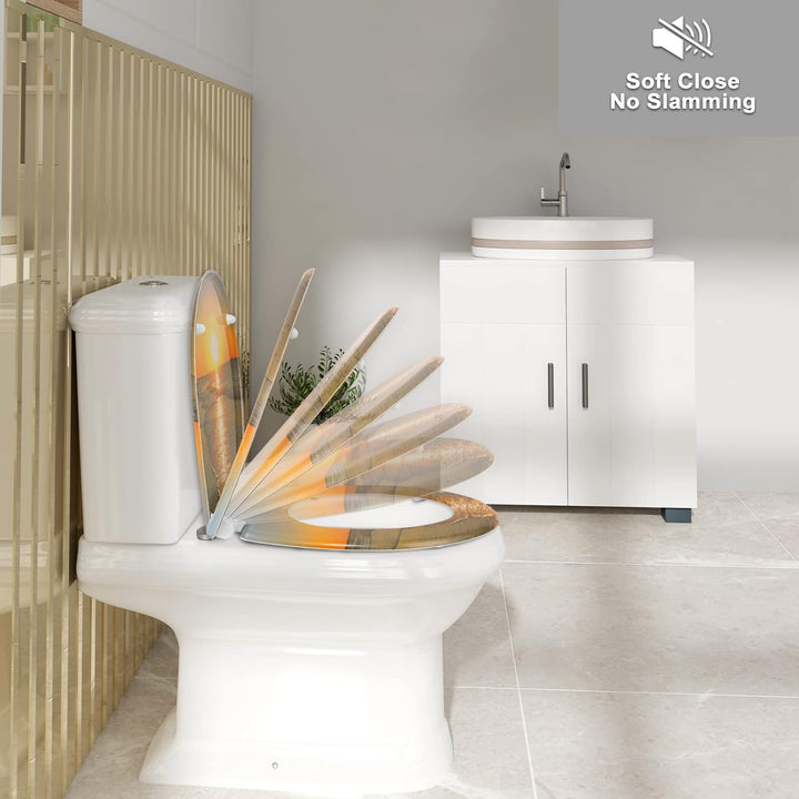 WOLTU WC Sitz mit Absenkautomatik,Toilettensitz Motiv,Klodeckel mit Quick-Release-Funktion und Antib
