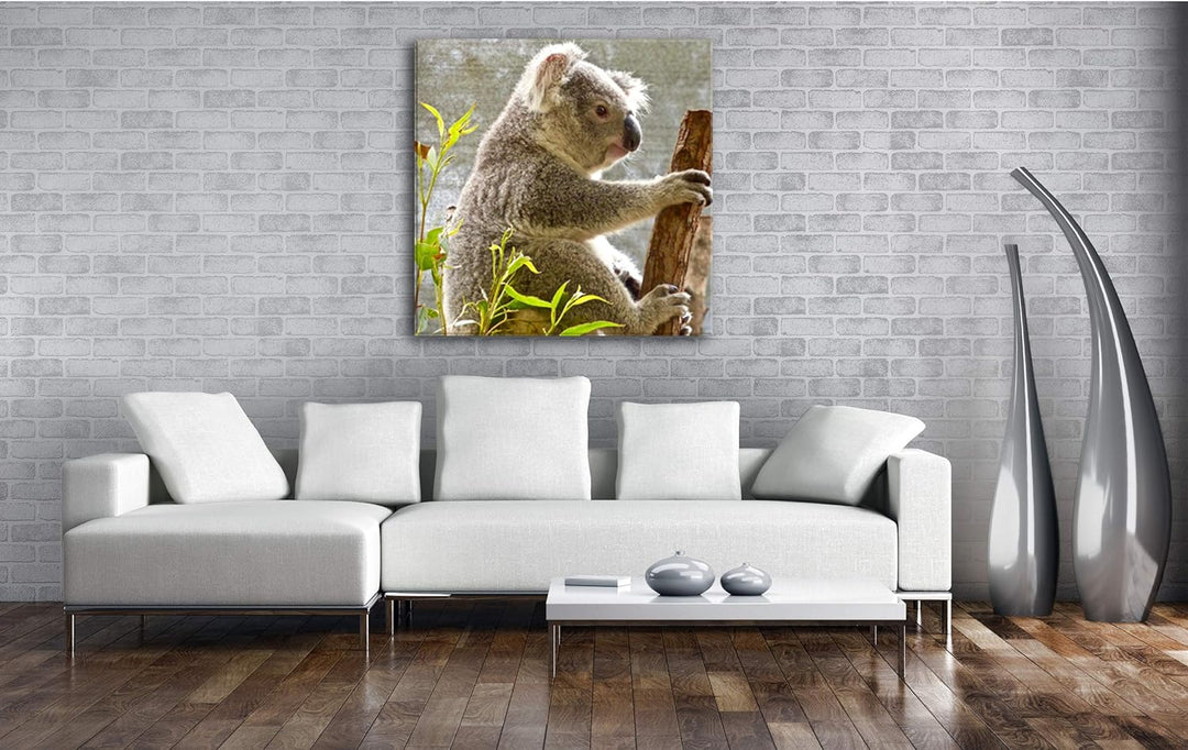 deyoli süsser Koalabär Format: 70x70 als Leinwandbild, Motiv fertig gerahmt auf Echtholzrahmen, Hoch