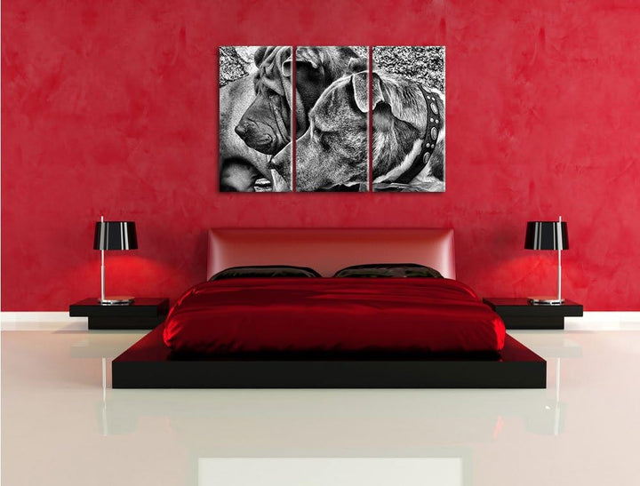 Pixxprint Zwei Hunde im Profil als Leinwandbild/Grösse: 3 Teilig (120x80) / Wandbild/Kunstdruck/fert