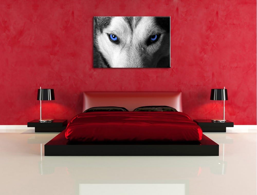 Gefährlicher Husky mit eisblauen Augen schwarz/weiss Format: 100x70 auf Leinwand, XXL riesige Bilder