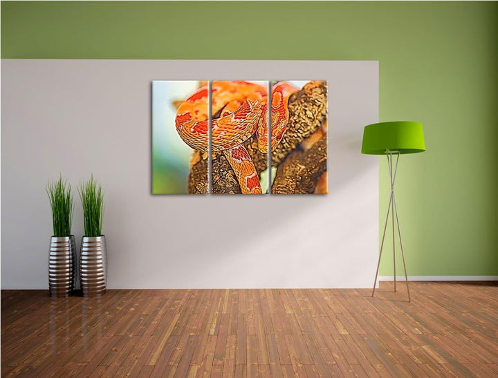 ruhende Kornnatter NewArt 3-Teiler Leinwandbild 120x80 Bild auf Leinwand, XXL riesige Bilder fertig
