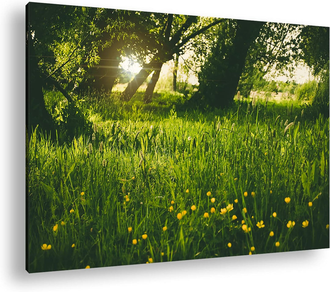 deyoli zauberhafte Butterblumen auf einer Wiese Format: 100x70 als Leinwand, Motiv fertig gerahmt au