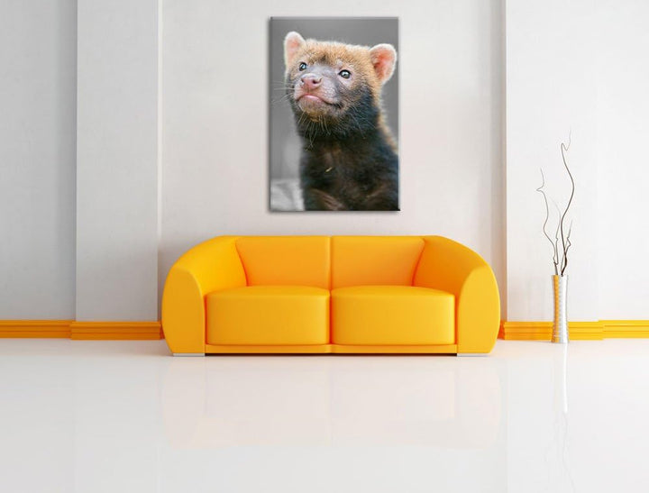 freches kleines Frettchen schwarz/weiss auf Leinwand, XXL riesige Bilder fertig gerahmt mit Keilrahm