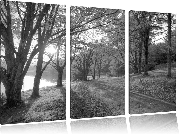 Herbstlicher Park am See schwarz/weiss 3-Teiler Leinwandbild 120x80 Bild auf Leinwand, XXL riesige B