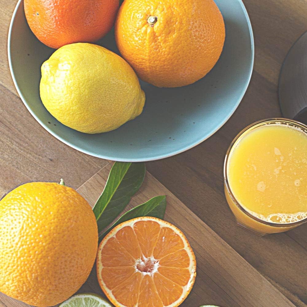 GASTROBACK 41150 Zitruspresse Advanced Pro S, 100 Watt, Aluminiumguss, Automatischer Anlauf, Edelsta