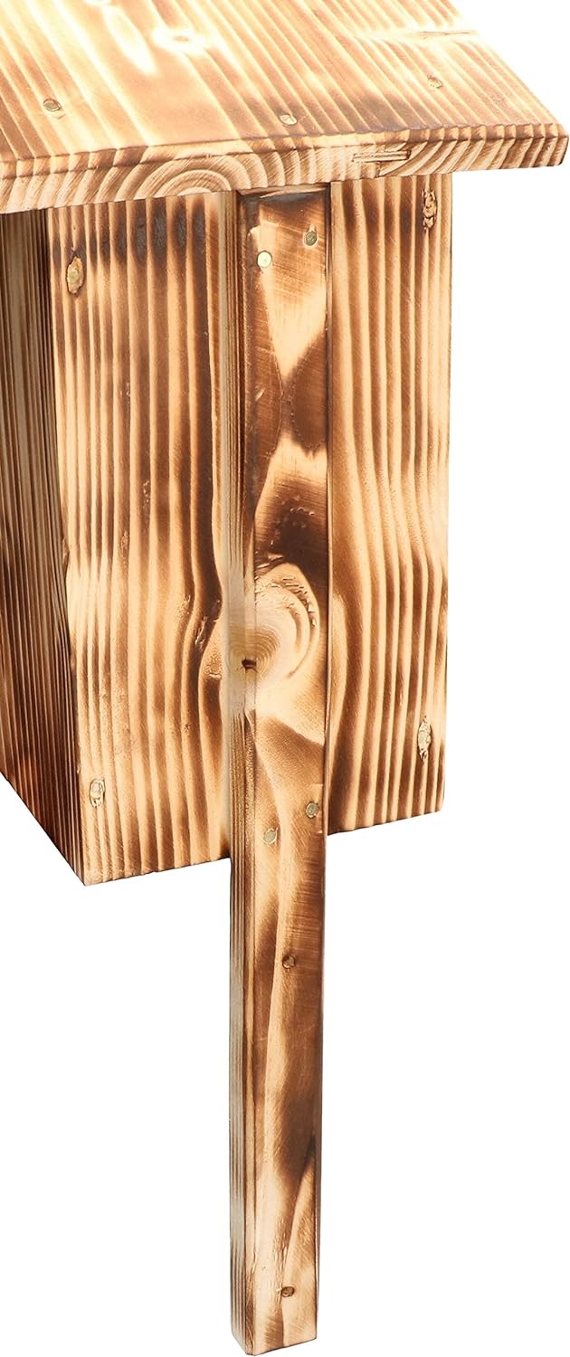 KOTARBAU® Nistkasten Vogelfutterkasten Vogelfutterhaus Vogelkasten aus Gebranntem Holz + Futter Grat