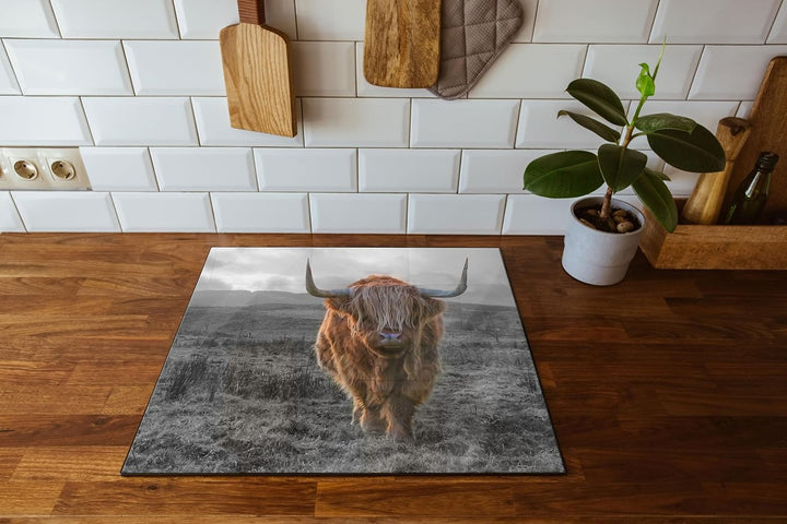 Highlandrind bei Sonnenuntergang B&W Detail Herdabdeckplatte & Spritzschutz aus Echtglas | Für Herd-