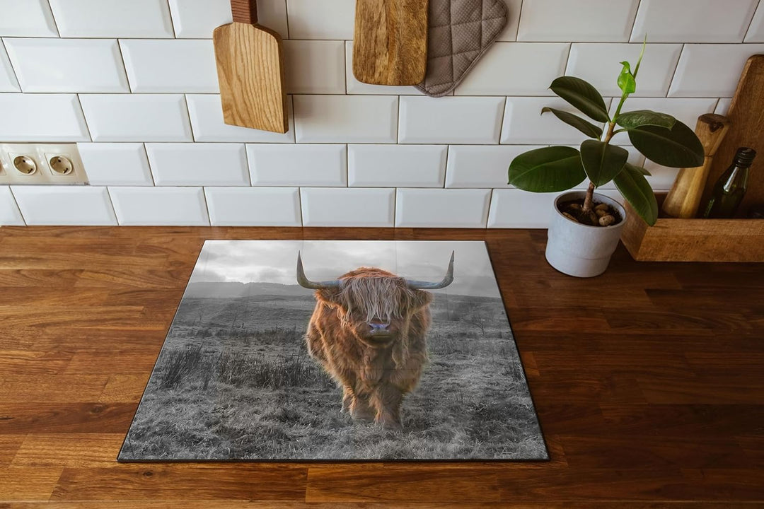 Highlandrind bei Sonnenuntergang B&W Detail Herdabdeckplatte & Spritzschutz aus Echtglas | Für Herd-