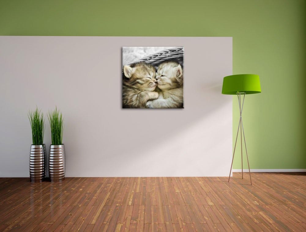 Pixxprint Zwei süsse Babykatzen im Korb als Leinwandbild/Grösse: 70x70 cm/Wandbild/Kunstdruck/fertig