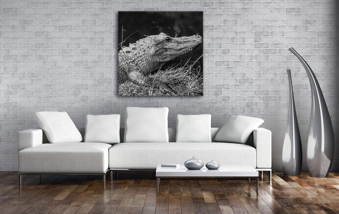 deyoli ruhiger Alligator Format: 70x70 Effekt: Schwarz&Weiss als Leinwandbild, Motiv fertig gerahmt