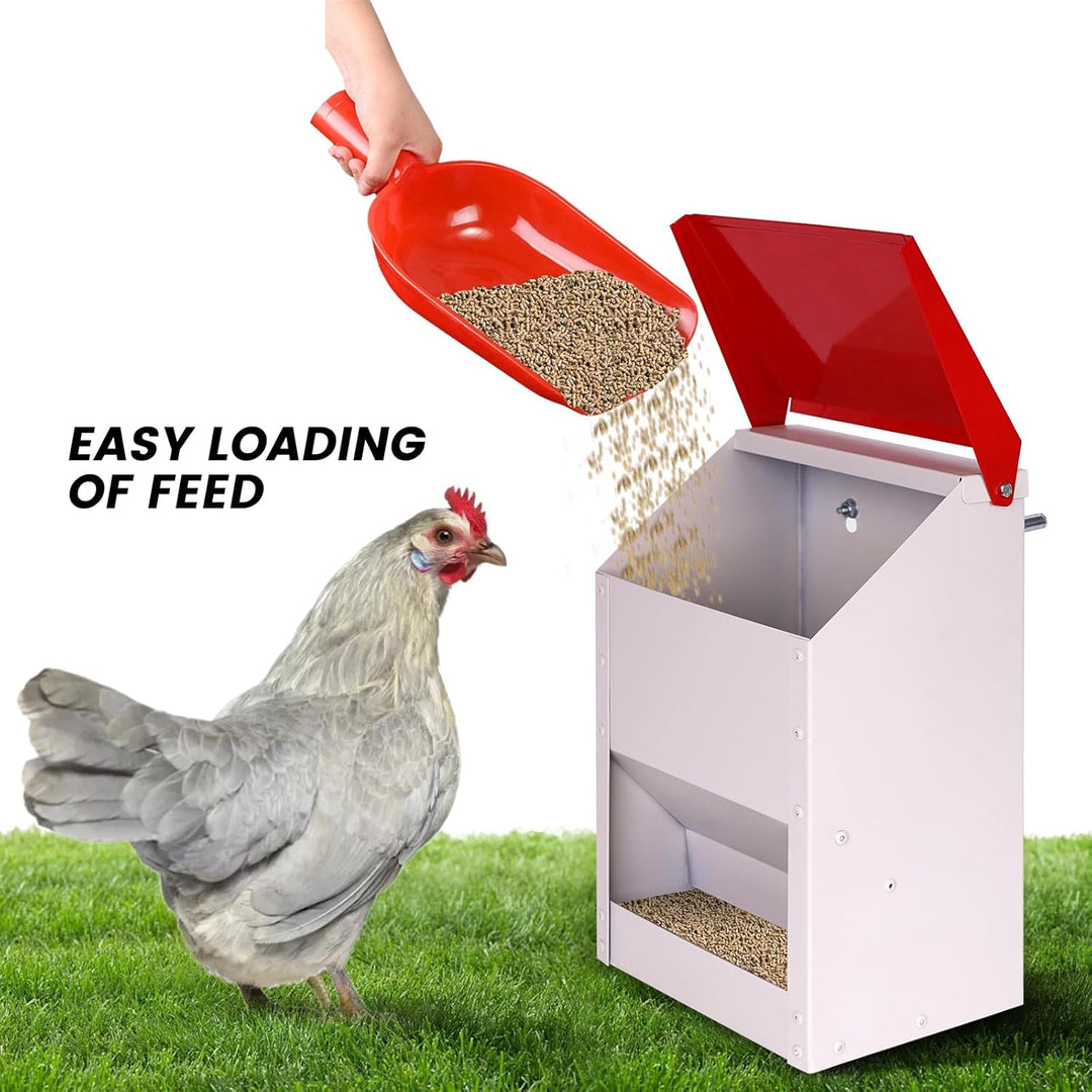BREUAILY 4.5kg Futterautomat Hühner Hühnerfutter Automat Hängend Geflügelfutterautomaten mit Deckel