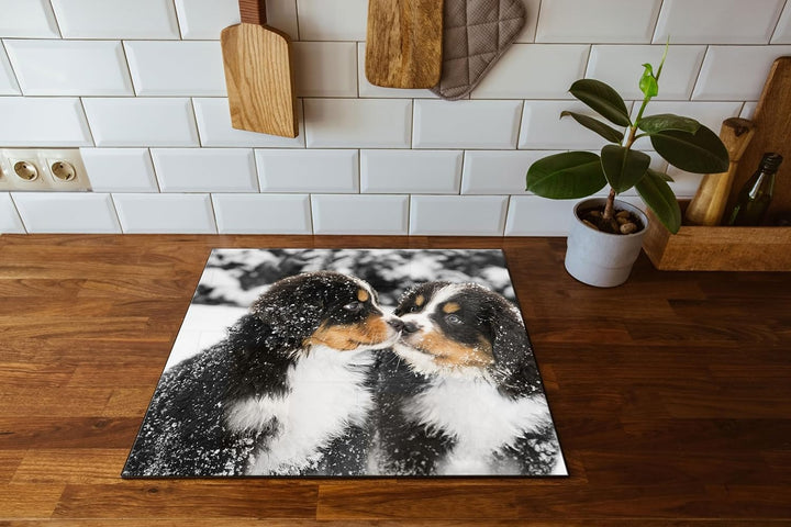Bernersennenhunde im Schnee Herdabdeckplatte & Spritzschutz aus Echtglas | Für Herd-Kochfelder | 60x