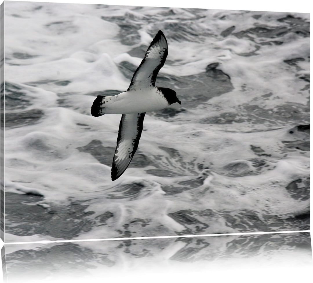 prächtige Möwe fliegt über Wasser Leinwand, XXL riesige Bilder fertig gerahmt mit Keilrahmen, Kunstd