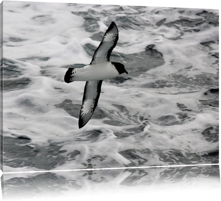 prächtige Möwe fliegt über Wasser Leinwand, XXL riesige Bilder fertig gerahmt mit Keilrahmen, Kunstd