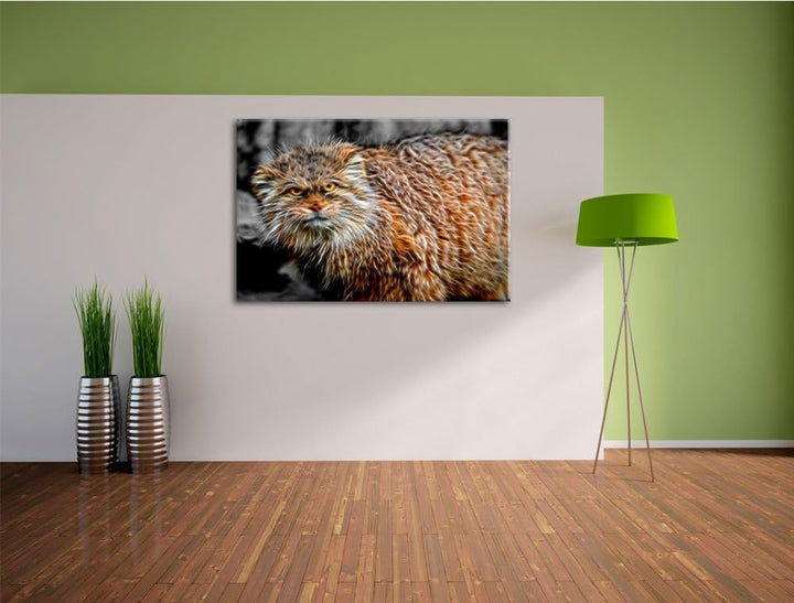 gereizte kleine Manul schwarz/weiss Deluxe Format: 100x70 cm auf Leinwand, XXL riesige Bilder fertig